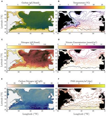 Modeling the Growth Potential of the Kelp Saccharina Latissima in the North Atlantic